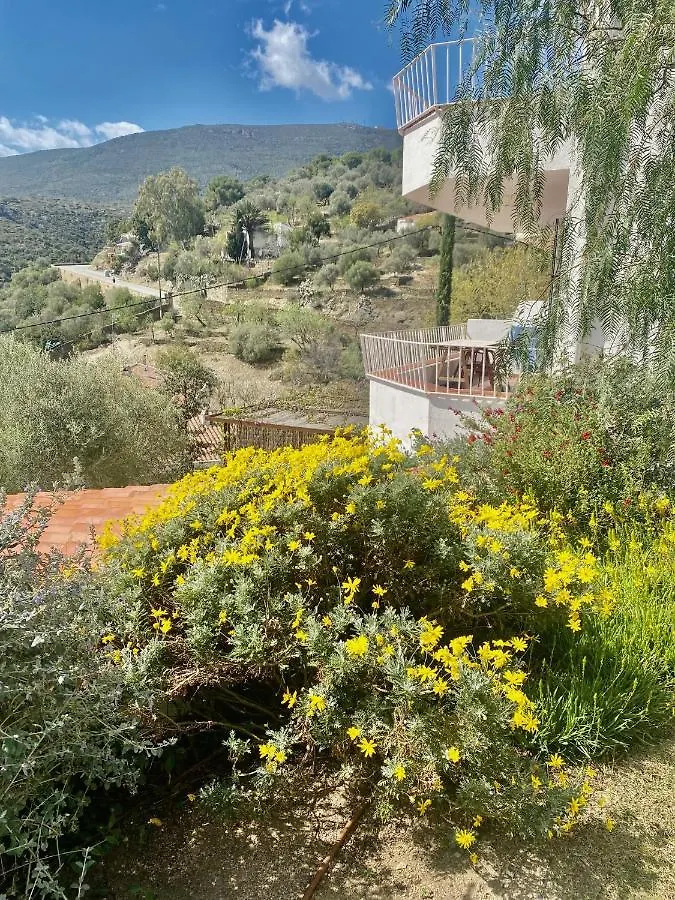 Apartament Ses Terrasses Cadaqués
