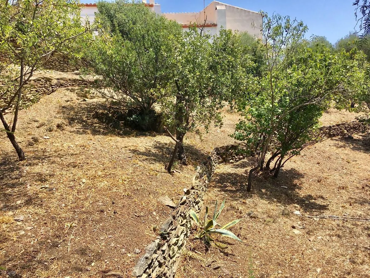 Apartament Ses Terrasses Cadaqués
